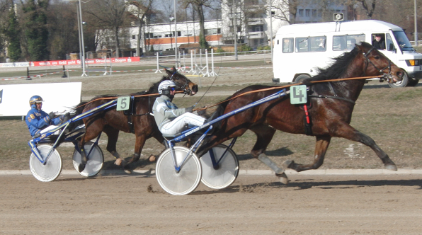 Arthos CG (Christoph Schwarz) sprintet zum Sieg, während Favorit Omega Man innen galoppiert. (Foto Boiger) 