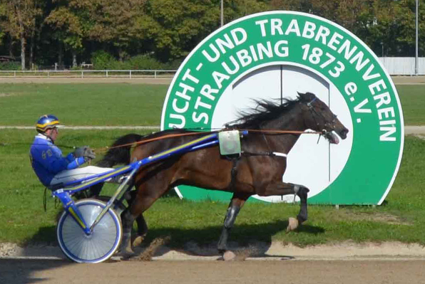 Omega Man (Gerd Biendl) hat am Faschingsdienstag erste Chancen, wieder auf die Siegerstraße zurückzukehren und der erste Sieger in der mit 5000 Euro Garantieauszahlung angereicherten V5-Wette zu werden. (Foto: M. Bäumel-Schachtner)