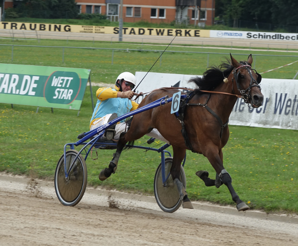 Längste Außenseiterin der beiden Volksfestrenntage war am Mittwoch Misses Ferrari, mit der Josef Eder jun. einen feinen Sieg einfahren konnte. (Foto: Bäumel-Schachtner)