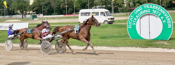 Mit Tokay holte sich Tanja Leitinger den Sieg im diesjährigen LOTTO Bayern-Grand Prix beim PMU-Volksfestrenntag in Straubing (Foto: Schaffrath)