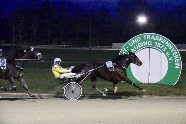 Mit ihrem Sieg im Niederbayerischen Stutenpokal hat sich Ida F Boko (Rudi Haller) in eine neue Gewinnklasse geschoben, was den Siegchancen des designierten Straubinger Pferd des Jahres 2019 nicht zum Nachteil gereichen sollte. 