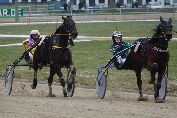 Das Duell des letzten Renntags zwischen Flash Gordon (Rudi Haller) und Airborne (Alexander Kelm) kann sich am Montag zum Auftakt der Straubinger V6-Wette gleich noch einmal wiederholen (Foto: Melanie Bäumel-Schachtner)