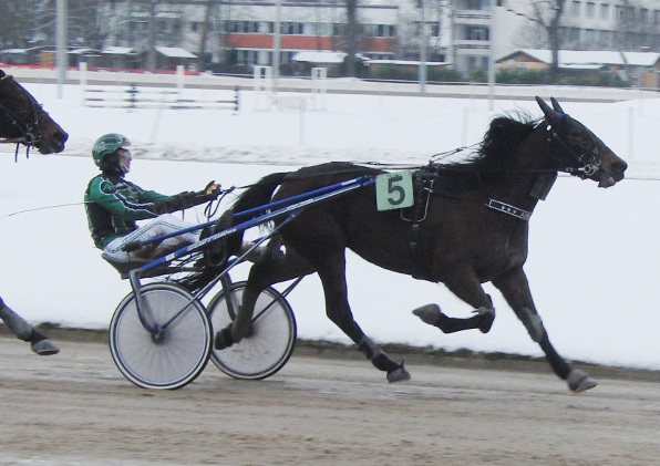 Die schnellste Fahrt des Tages absolvierte Alexander Kelm mit Airborne in 16,1 und ließ diesmal Flash Gordons Angriff im Einlauf abblitzen. (Foto: H. Boiger)