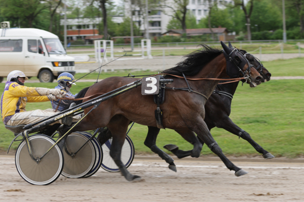 Im LOTTO Bayern Grand-Prix gab es ein spannendes Finish zwischen Al Capone (Rudi Haller /3) und Shimmy des Bois, das Rudi Haller für sich entscheiden konnte. (Foto: traberfan.at)