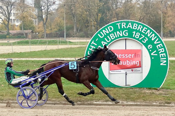 Troublemaker gewann letzten Renntag das V7-Auftaktrennen mit Alexander Kelm und hat auch diesen Renntag wieder beste Chancen, zum Auftakt der V7-Wette die Wetter glücklich zu machen. (Foto: W. Schaffrath)