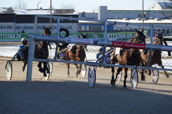 Einen Tag nach dem Prix d’Amerique gehen am Montag, ab 11.30 Uhr, auch in Straubing die Trabrennpferde wieder hinter das Startauto. (Foto Melanie Bäumel-Schachtner)