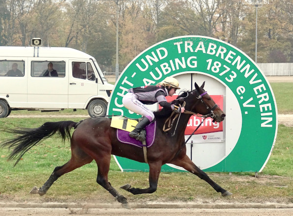 Die deutsche Trabreit-Championesse Ronja Walter hat am Sonntag in Straubing erste Chancen, mit Django unterm Sattel gleich den ersten Punkt zur Titelverteidigung einzusammeln. (Foto: W. Schaffrath)