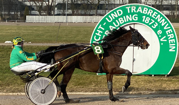 Dr. Marie Lindinger beendete mit Real Perfect nach perfekter Fahrt eine Durststrecke des sechsjährigen Wallachs. Foto: Bäumel-Schachtner