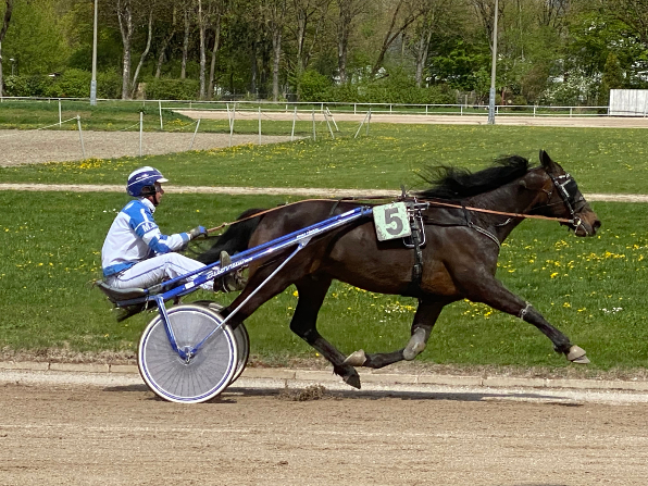 Mit Far West hatte Marion Dinzinger das überlegene Pferd zur Hand, der im Bänderstart über den langen Weg trotz Startgaloppade nicht zu bezwingen war. Foto: Bäumel-Schachtner