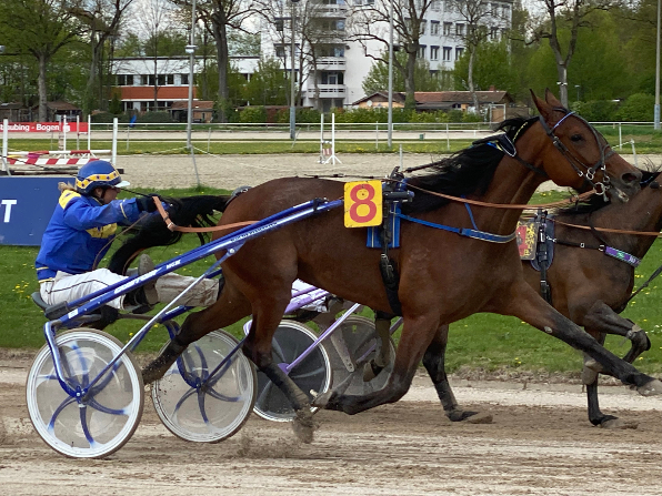 Herzschlag-Finish um Zentimeter: Daniela Fellner entreißt mit Tiffany Diamant Dr. Conny Schulz mit Bellice BR den Jubiläumssieg und kann selbst zum 50. Mal die Siegerschleife abholen. Foto: Bäumel-Schachtner