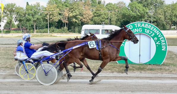 Mit seinem nicht ganz erwarteten Sieg mit Kock on Wood sicherste sich Stefan Hiendlmeier nicht nur den Gesamtsieg in der Straubinger Amateurmeisterschaft, sondern löste zugleich das erste Ticket für die EM-Qualifikationsrennen der Amateure, die Mitte September in München stattfinden.