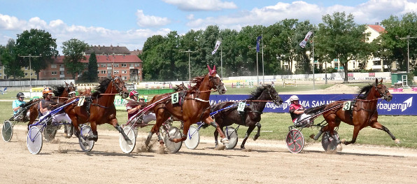 Neunmal schwärmen die Rennpferde am Samstag in Straubing hinter dem Auto aus und suchen sich eine passende Position für das Rennen, einmal geht es aus den Bändern. Rennbeginn ist um 14 Uhr. (Foto: W. Schaffrath)