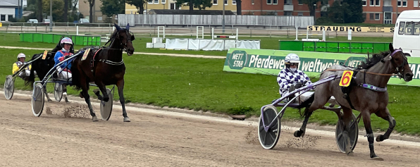 Jacky Hazelaar und Christoph Schwarz sicherten sich das Standardrennen für dreijährige Inländer. Dem Siegfahrer gelangen noch zwei weitere Volltreffer an diesem Renntag.