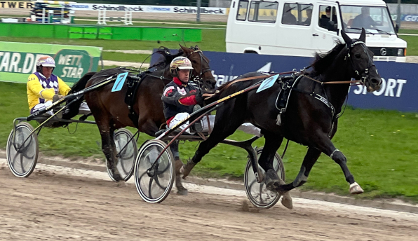 Jahrgangspferd Miramax BR trommelte flotte 16,9 auf die Piste und überzeugte beim ersten Straubing-Start. (Fotos: M. Bäumel-Schachtner)