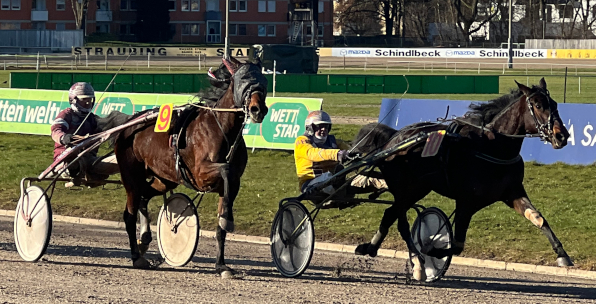 Bahnchampion Rudi Haller hat am 2. Januar mit Idefix das erste Rennen der Straubinger Saison 2022 gewonnen und schloss es am Freitag mit einem vollen Erfolg von Highwaytohell ab. (Foto: M. Bäumel-Schachtner)