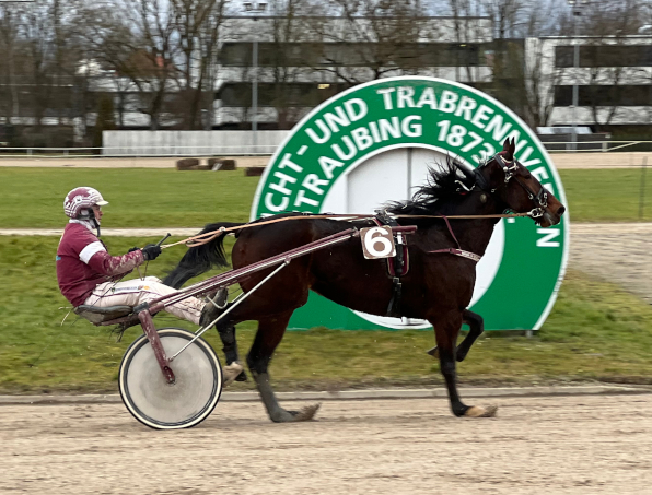 Ein Double gelang Andreas Geineder als Trainer, er selbst saß bei Breeding of Hanke im Sulky.