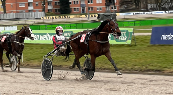 Stellte gleich beim ersten Bayern-Start einen neuen Bahnrekord in Straubing auf: Christoph Fischers Neuzugang Lozano Boko. (Fotos: Bäumel-Schachtner)