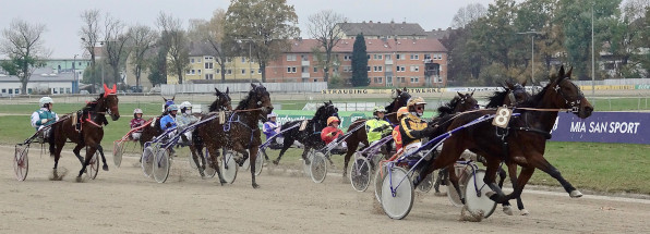 Volle Felder gibt es bei den vier PMU-Rennen am Montagmittag in Straubing. Im Anschluss finden noch drei weitere Prüfungen statt. (Foto: Wilfried Schaffrath)