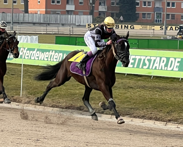 Auch ein Trabreiten war nach längerer Abstinenz wieder einmal geboten. Die deutsche Trabreit-Championesse Ronja Walter holte sich mit ihrem Khalid den verdienten Sieg.