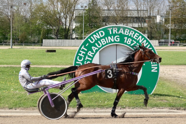 Christoph Schwarz hat am LOTTO Bayern-Renntag einige erstklassige Chancen, um sich wertvolle Punkte für das Bahnchampionat und einen deutschen Edelmetall-Helm zu sichern. Das „Team Lila“ von Trainer Robert Gramüller vertraut ihm unter anderem die österreichische Derbyhoffnung M Eck Enroe an, der zum Seriensieger werden sollte. (Foto: W. Schaffrath)