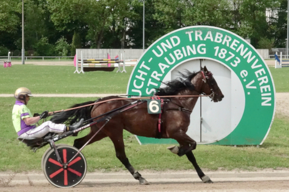 Mit Good Fellow sicherte sich Austria-Goldhelm Gerhard Mayr den diesjährigen LOTTO Bayern-Grand Prix. (Fotos: W. Schaffrath)