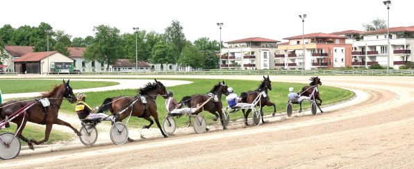 Gleich im ersten Rennen gibt es beim PMU-Sommerrenntag am Freitag einen Jackpot in der V6-Wette auf der Straubinger Rennbahn. Bis spätestens 11.25 Uhr muss der Wettschein eingespielt sein. (Foto: Wilfried Schaffrath)