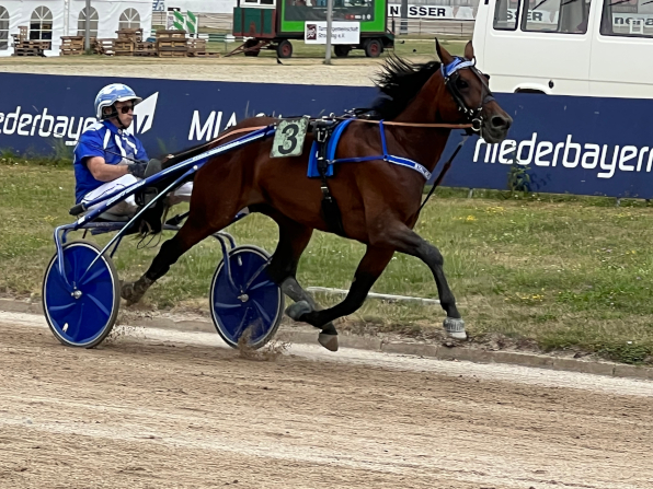 Mit See the Moon ist Stefan Hiendlmeier bestens für die Derby-Vorläufe am 6. August in Berlin-Mariendorf gerüstet.