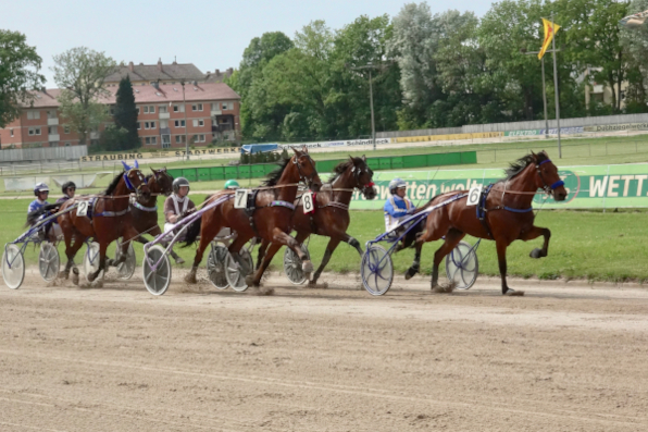 Einen Tag vor Heilig Abend gibt es in Straubing nochmal großes PMU-Geld für die Besitzer und Aktiven, sowie mehrere Jackpots für die Wettkunden. (Foto: Wilfried Schaffrath)
