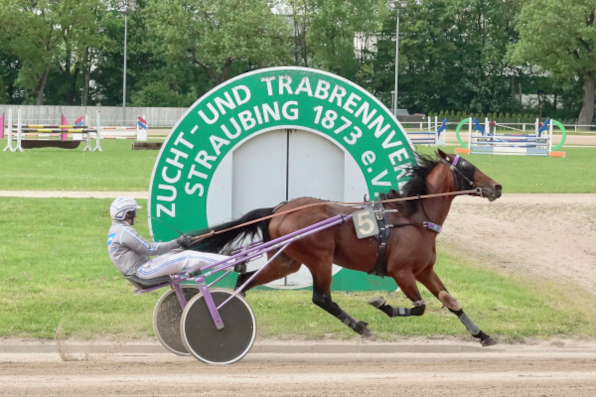 Gewohntes Bild im Jahr 2023 auf der Straubinger Trabrennbahn: Christoph Schwarz bringt in dieser Saison die meisten Pferde als Sieger ins Ziel. (Foto: W. Schaffrath)