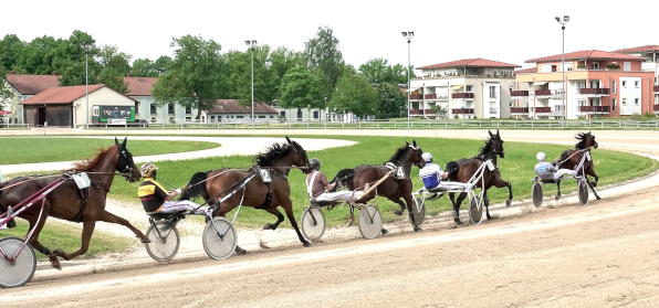 Am Mittwoch startet die neue Rennsaison auf der Straubinger Rennbahn mit einem PMU-Renntag. Insgesamt stehen neun Rennen auf der Karte und es wird ein lukrativer V6-Jackpot ausgespielt. (Foto: Wilfried Schaffrath)