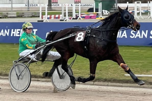 Dr. Marie Lindinger holte mit Flash Gordon den Sieg im ersten Rennen des Jahres in Straubing und will den Treffer nun wiederholen. (Foto: Bäumel-Schachtner)