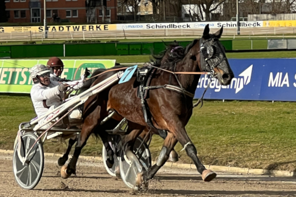 Jede Schwäche der Konkurrenz nutzte Daniel Hinterhäuser mit Lightning H Boko gnadenlos aus. (Fotos: M. Bäumel-Schachtner)