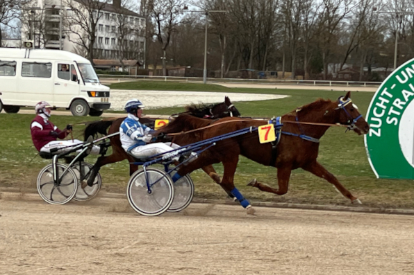 Eckmuhl Jack (Marion Dinzinger) konnten auch die 50 Meter Höchstzulage nicht von einem vollen Erfolg im „Franzosen-Rennen“ abhalten. (Fotos: Melanie Bäumel-Schachtner)