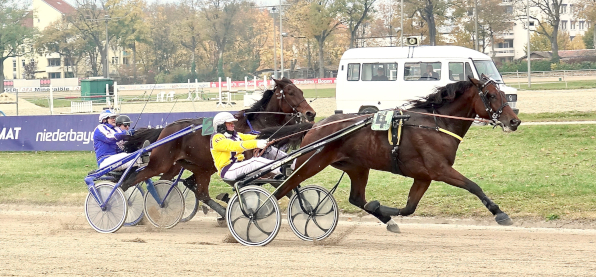 Rudi Haller ist nach einer gesundheitlich bedingten Zwangspause am Montagmittag in Straubing wieder zurück im Sulky und sollte bei seinen drei Fahrten auch gleich erste Siegchancen anmelden. (Foto: Wilfried Schaffrath)