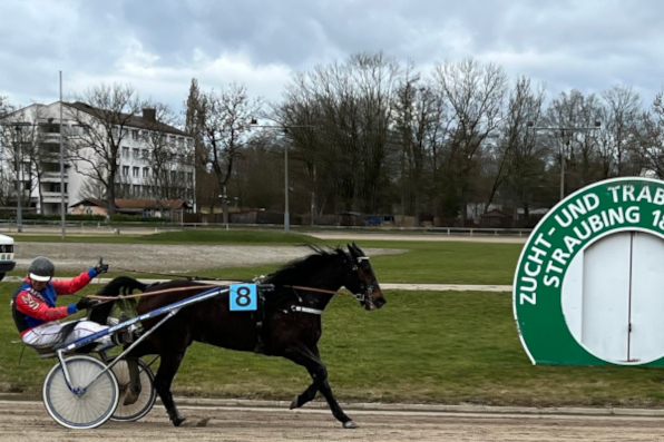 Ein Blick zurück mit dem 500. Sieg vor Augen: Andreas Schwarz feierte mit Winnetou Diamant seinen lange ersehnten Jubiläumstreffer. (Fotos: M. Bäumel-Schachtner)