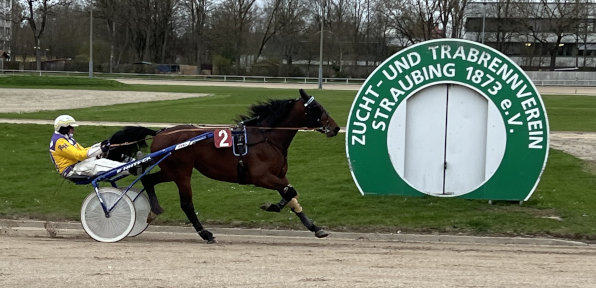 Mit dem Sieg von Shazzam kam Derby-Vorfreude auf und Rudi Haller steuerte seinen ersten Sieger der neuen Selbständigkeit. (Fotos: Bäumel-Schachtner)