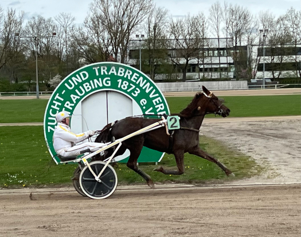 Herbert Tuscher fuhr mit Gri My Dream gnadenlos dem favorisierten Workaholic Diamant davon. (Fotos: Bäumel-Schachtner)