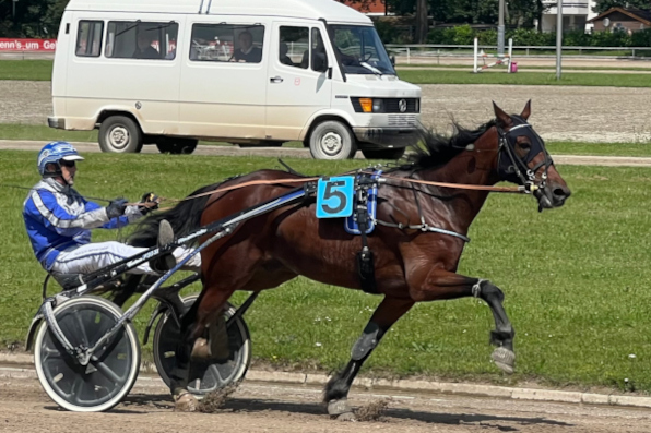 Velten Chicago war mit Peter Platzer der längste Außenseiter an einem Tag, an dem die Favoriten reihenweise strauchelten. (Fotos: Bäumel-Schachtner)