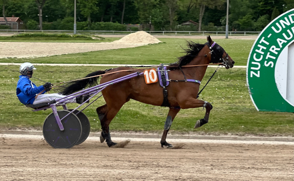 Nach langer Durststrecke gelang Perfecto wieder ein voller Erfolg und dem Team Lila um Trainer Robert Gramüller der zweite Tagestreffer, nachdem zuvor Indy mit Dr. Conny Schulz auf die Siegerparade gehen konnte (Fotos: Melanie Bäumel-Schachtner).