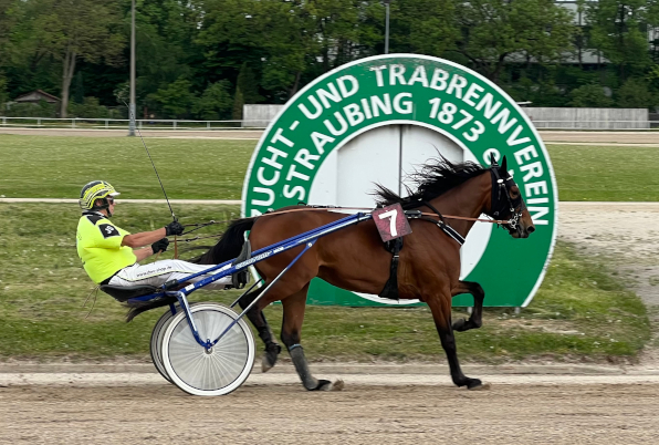 Mit zwei Siegen rahmte Josef Sparber für das Trainingsquartier von Josef Franzl den Renntag ein: Mit Take Five (im Bild) eröffnete er den Samstagsrenntag, mit einem beeindruckenden Uletto setze er die Schlussmarke.
