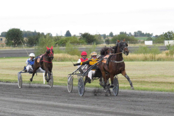 Mit Fon Baron feierte Robert Pletschacher vor wenigen Wochen den Derbysieg in Tschechien und tritt heute in neuer Klasse an. (Foto: Karla Hubníková)