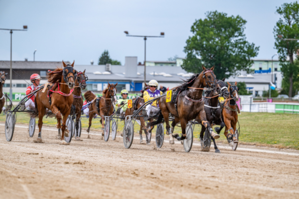 Am LOTTO Bayern-Renntag am kommenden Sonntag sind die Frühaufsteher gefragt, denn bereits um kurz nach 10 Uhr wird das erste Rennen gestartet. Gegen 11 Uhr ist Abgabeschluss zur V6-Wette mit 15.000 Euro Garantieauszahlung. (Foto: Armin Weigel)