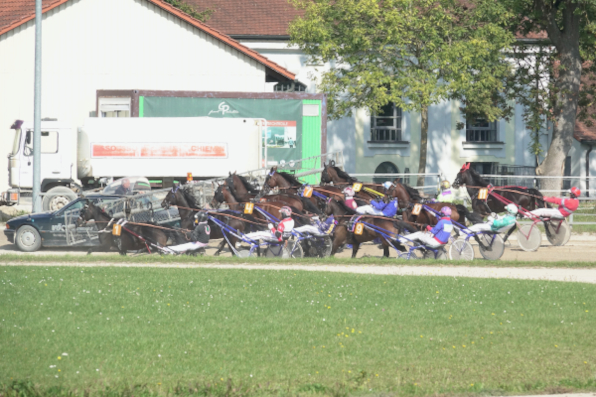 Volle Felder gibt es am Sonntag beim PMU-Renntag und mit 15.000 Euro eine V6-Auszahlungsgarantie. Abgabeschluss für die V6-Wette ist bereits um 11 Uhr . (Foto: W. Schaffrath)
