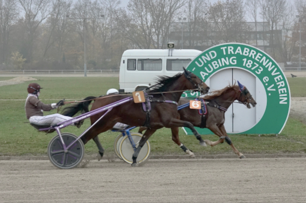 Nicht mehr gereicht hat es für Forrest Big Effe im LOTTO Bayern Grand Prix, in dem sich Rozmarin (verdeckt/6) mit Georg Bachmeier ins Ziel rettete.