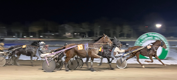 Zwei Tage nach seinem 80. Geburtstag beschenkte sich Ferdinand Veit mit seinem Au&szlig;enseitererfolg mit Kador du Choquel selbst. (Foto: M. B&auml;umel-Schachtner)