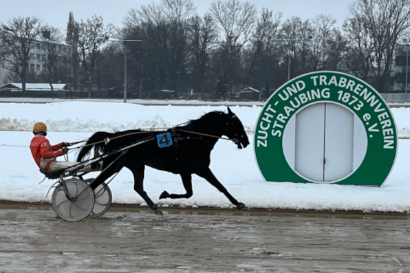 Erstmals in die Straubinger Siegerliste trug sich der deutsche Amateurchampion Tom Karten mit Happy Jack ein.