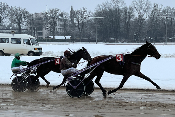 In feiner Manier konnte Marilyn Boko mit Dr. Conny Schulz an alte Glanzzeiten anknüpfen. (Fotos: M. Bäumel-Schachtner)