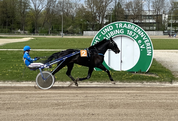 Mit Mr Scheffield Mo feiert Lena Franzl bei ihrem Straubing-Deb&uuml;t ein Fahrerdouble, nachdem sie mit George Gently Mo gleich ihre erste Straubing-Fahrt in einen Sieg umm&uuml;nzen konnte. (Fotos: M. B&auml;umel-Schachtner)