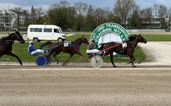 Mit Augustiner holt sich Dr. Conny Schulz das abschlie&szlig;ende Rennen in Straubing und zugleich den 250. Karrieretreffer.