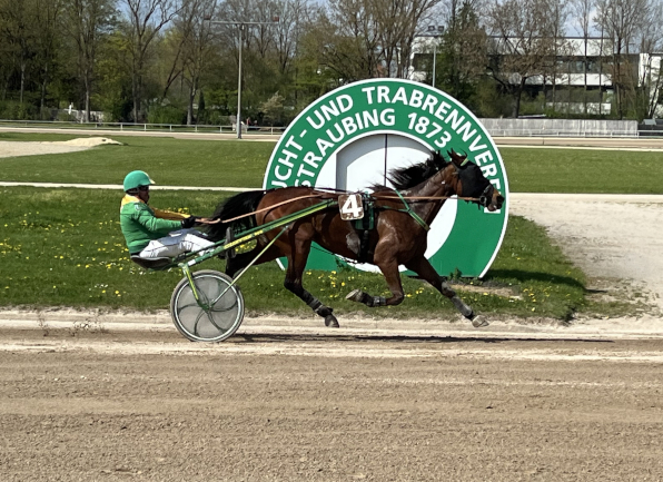 Seinen ersten Sieg seit 2011 bringt Christian Ferstl mit Luna Barosso als l&auml;ngster Au&szlig;enseiter des Rennnachmittags ins Ziel und sorgt daf&uuml;r, dass es in der V6-Wette auch nur einen Treffer gegeben hat.